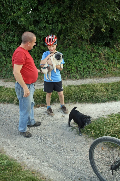 20 Aug 2014 · New Forest and Salisbury: Day 2 Burley to Salisbury