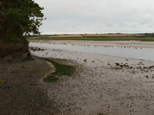 The Camel Estuary after Wadebridge, 7.4 miles into the ride.