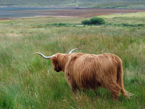 25 Aug 2010 · Scottish Highlands & Islands: Day 3 Glen Nevis to Raasay