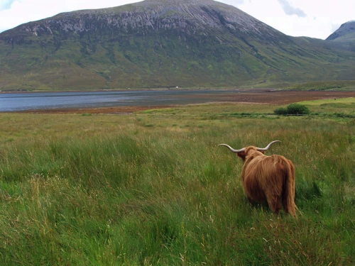 25 Aug 2010 · Scottish Highlands & Islands: Day 3 Glen Nevis to Raasay