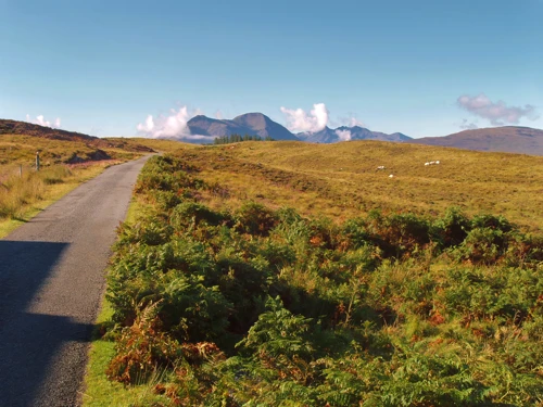 26 Aug 2010 · Scottish Highlands & Islands: Day 4 Raasay to Tarbert Bunkhouse
