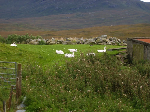 27 Aug 2010 · Scottish Highlands & Islands: Day 5 Tarbert to Ullapool YH