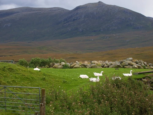 27 Aug 2010 · Scottish Highlands & Islands: Day 5 Tarbert to Ullapool YH