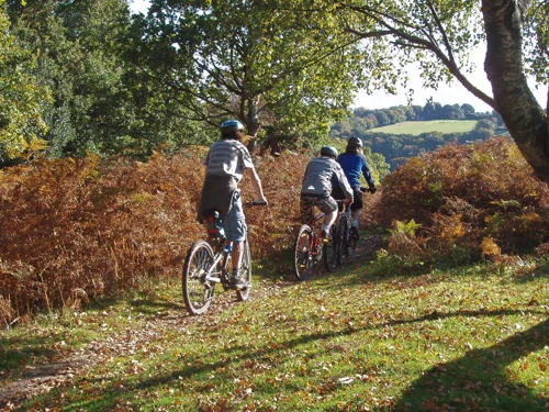 17 Oct 2010 · Widecombe-in-the-Moor