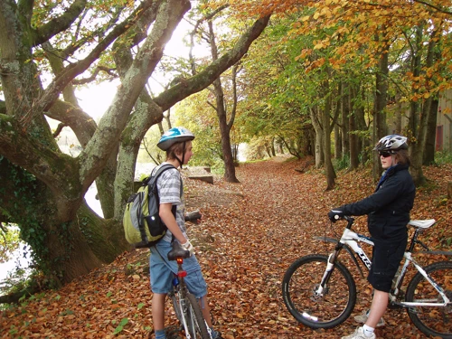 07 Nov 2010 · Totnes