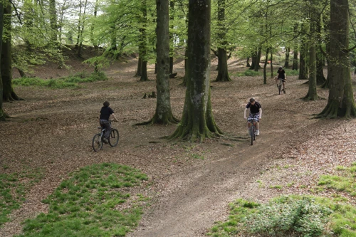 22 Apr 2011 · Exe Trail