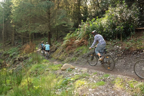 02 Oct 2011 · Haldon Forest Park