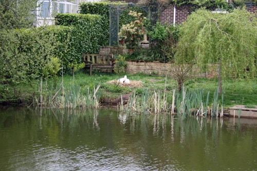 26 Apr 2015 · The Grand Western Canal, Tiverton