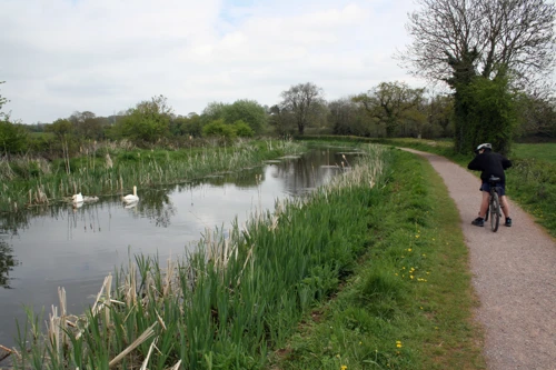 26 Apr 2015 · The Grand Western Canal, Tiverton