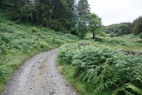 09 Aug 2015 · Lake District: Day 2 Hawkshead to Wasdale Hall YH
