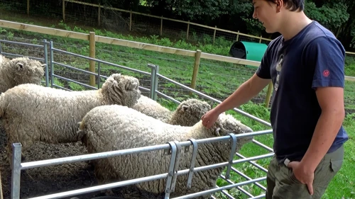 12 Aug 2015 · Lake District: Day 5 Thorney How to Home