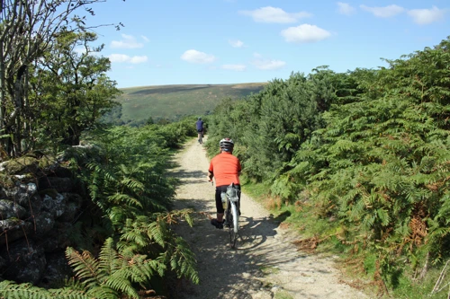 06 Sep 2015 · Widecombe in the Moor