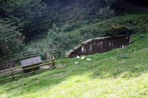 06 Sep 2015 · Widecombe in the Moor