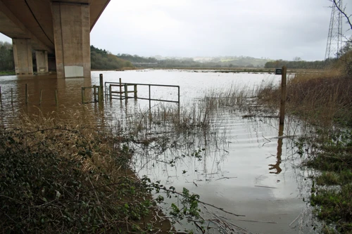 28 Mar 2016 · Exe Estuary Cyclepath