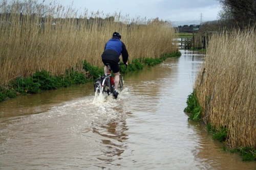 28 Mar 2016 · Exe Estuary Cyclepath