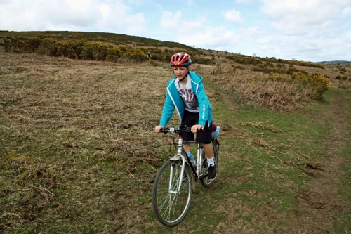 24 Apr 2016 · Dartmeet