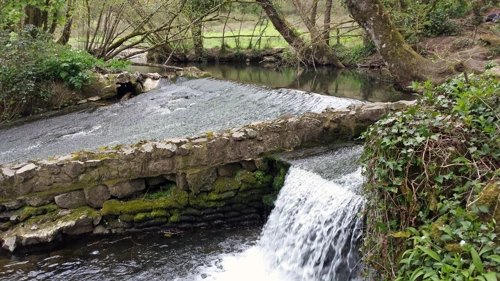 01 May 2016 · Broadridge Wood