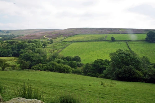 16 Aug 2016 · Yorkshire Dales & North York Moors: Day 6: Osmotherley to Helmsley YH