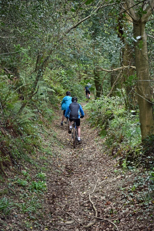 02 Apr 2017 · Staverton