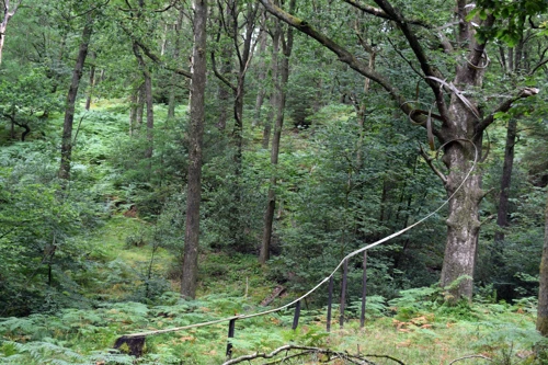 31 Jul 2019 · Lake District: Day 2: Hawkshead to Coniston Holly How YH
