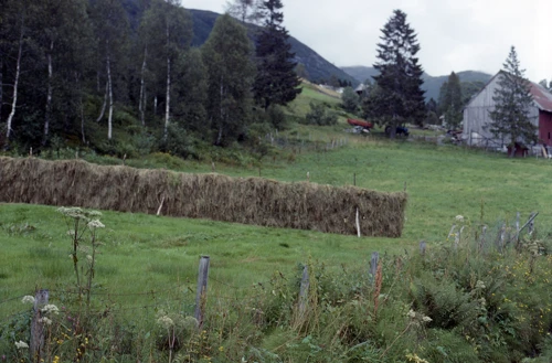 25 Aug 1989 · Norway: Day 10 Hellesylt to Stryn