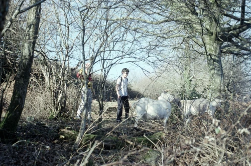Report photo