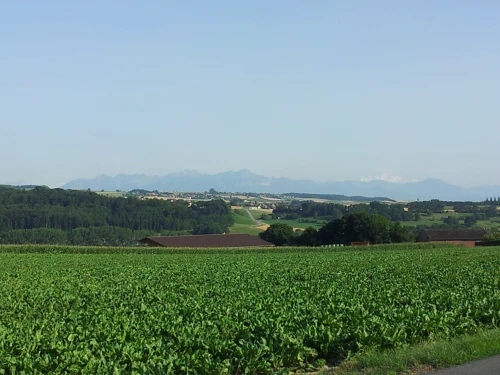 02 Aug 2013 · Switzerland: Day 4 Avenches to Lausanne