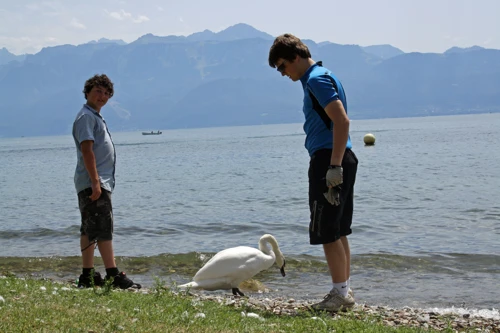 03 Aug 2013 · Switzerland: Day 5 Lausanne to Chateaux d'Oeux