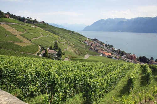 03 Aug 2013 · Switzerland: Day 5 Lausanne to Chateaux d'Oeux