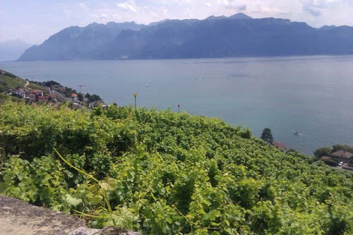 03 Aug 2013 · Switzerland: Day 5 Lausanne to Chateaux d'Oeux